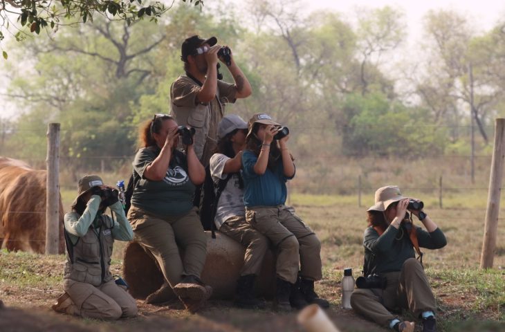 Turismo em ascensão: desafio de observação de aves registra 345 espécies em MS